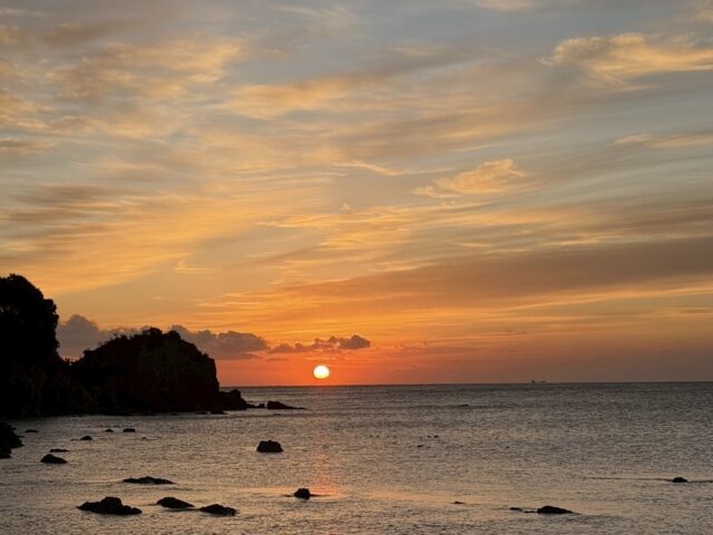 【２０２６年新年のご挨拶🎍】おかげさまで開院１０周年。調布の皆様へ感謝を込めて