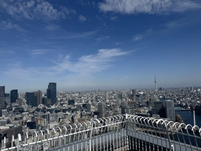 鍼灸治療で予防？！花粉症にご注意！